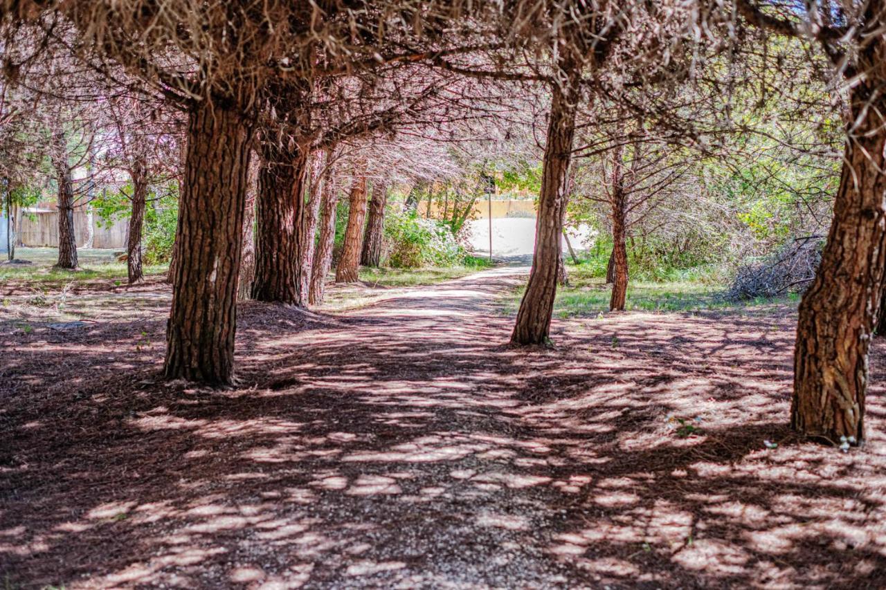 Bosco Canoro Bibione Resort Buitenkant foto